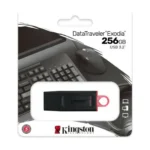 Kingston USB Stick 256GB DTX