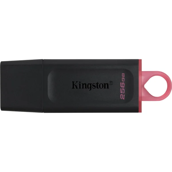 Kingston USB Stick 256GB DTX - Image 2